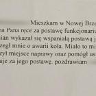 Fotka nr 1 z 3