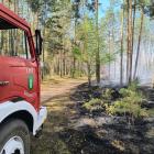 Zdjęcie pokazuje akcje gaśniczą w Brzezinach. / fot.: OSP Skomlin