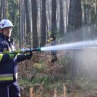 Fotka nr 5 z 38