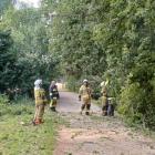 Zdjęcie z akcji usuwania powalonego drzewa w Dzietrznikach / fot.: Elżbieta Mizak