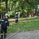 zdjęcie nr 9
