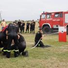 zdjęcie nr 17