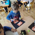 zdjęcie nr 15