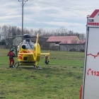 rząśnia w6