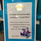 zdjęcie nr 43