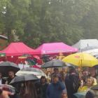 zdjęcie nr 146