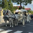 zdjęcie nr 102