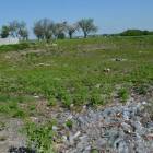 Na razie na gliniankach wycięto drzewa i krzewy, aby umożliwić prace geotechniczne 
