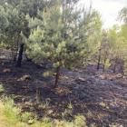 fot.: OSP KSRG Nowa Brzeźnica