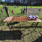 Zdjęcie pokazuje  IV Igrzyska Sportowe dla Dzieci, Młodzieży i Dorosłych w...