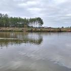 zdjęcie nr 15
