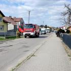 zdjęcie nr 9