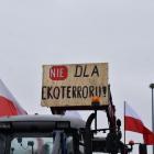zdjęcie nr 10