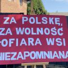 zdjęcie nr 10