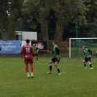 zdjęcie nr 17