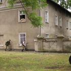 zdjęcie nr 81