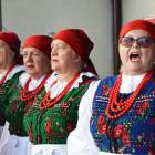 zdjęcie nr 14