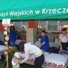 zdjęcie nr 164