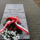 zdjęcie nr 11