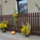 Fotka nr 1 z 17