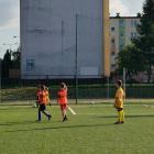 zdjęcie nr 8