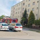 zdjęcie nr 19
