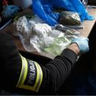 Zdjęcie z akcji policji w Łowiczu wymierzonej w narkobiznes. Zatrzymanie podejrzanego o...