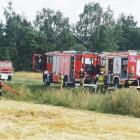 fot.: Elżbieta Mizak