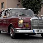 zdjęcie nr 203