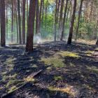 Na zdjęciu pożar lasu w Załęczu Wielkim (gm. Pątnów, pow. wieluński) / fot.: OSP KSRG...