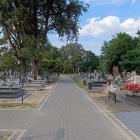 zdjęcie nr 9