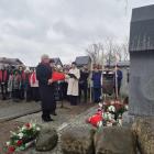 zdjęcie nr 14