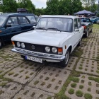 zdjęcie nr 11