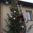 zdjęcie nr 9