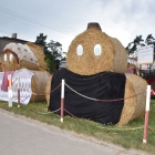 zdjęcie nr 20