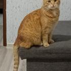 zdjęcie nr 34
