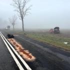 Fot. KPP Łask