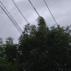 zdjęcie nr 11