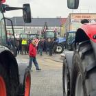 zdjęcie nr 13