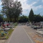 zdjęcie nr 8