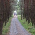 zdjęcie nr 20