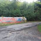 zdjęcie nr 8