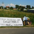 zdjęcie nr 25