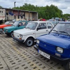 zdjęcie nr 7