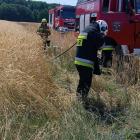 Zdjęcia z akcji gaszenia pożaru traw w miejscowości Barany / fot.: OSP Makowiska