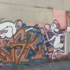 zdjęcie nr 8