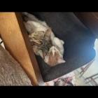 zdjęcie nr 115