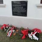 zdjęcie nr 73