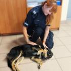 Fot. KPP Zduńska Wola