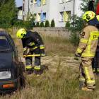 zdjęcie nr 9